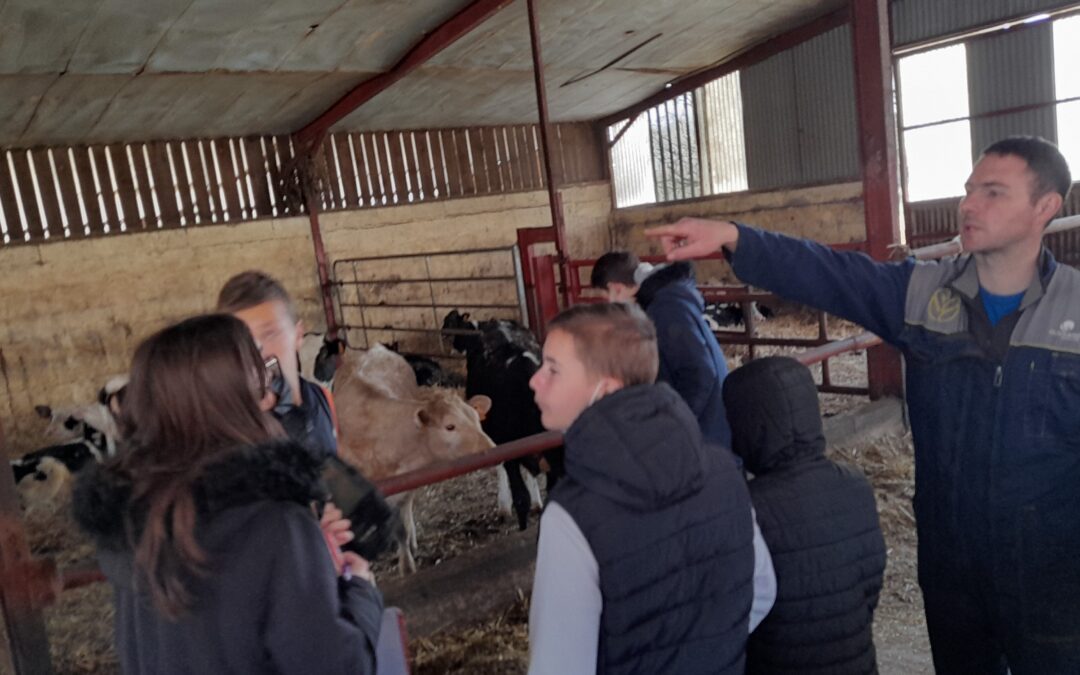 Visite d’une entreprise agricole avec les 4A